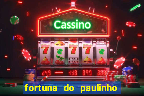 fortuna do paulinho do roupa nova